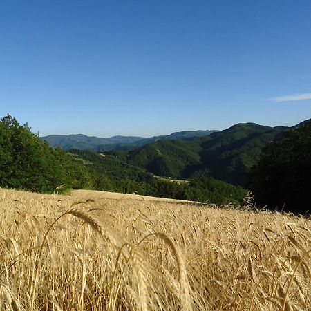 Agriturismo I Monti Di Salecchio Палацуоло сул Сенио Екстериор снимка