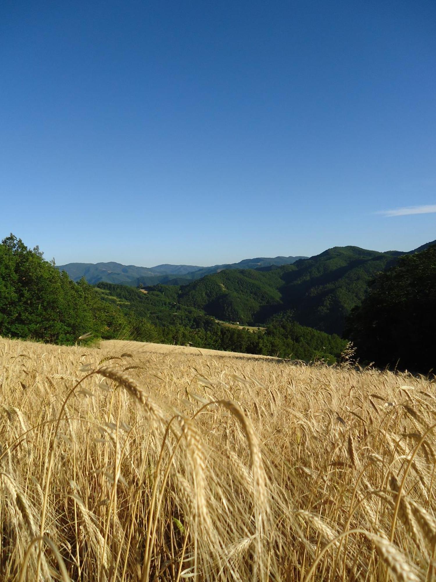 Agriturismo I Monti Di Salecchio Палацуоло сул Сенио Екстериор снимка