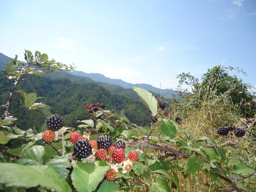 Agriturismo I Monti Di Salecchio Палацуоло сул Сенио Екстериор снимка