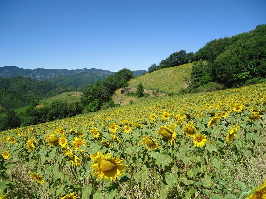 Agriturismo I Monti Di Salecchio Палацуоло сул Сенио Екстериор снимка