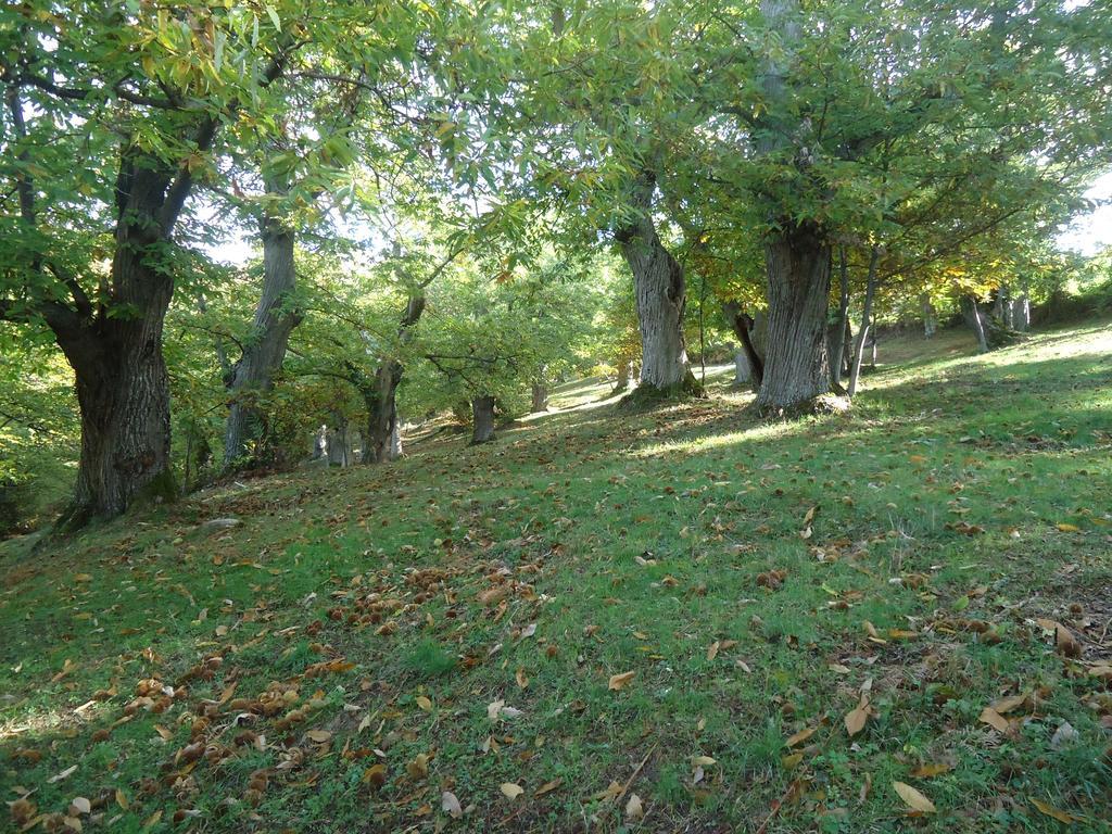 Agriturismo I Monti Di Salecchio Палацуоло сул Сенио Екстериор снимка