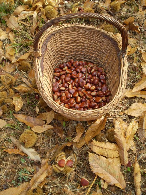 Agriturismo I Monti Di Salecchio Палацуоло сул Сенио Екстериор снимка